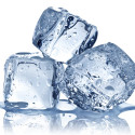 Frozen Food
