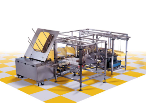 Read more about the article WRAP AROUND SPARTAN